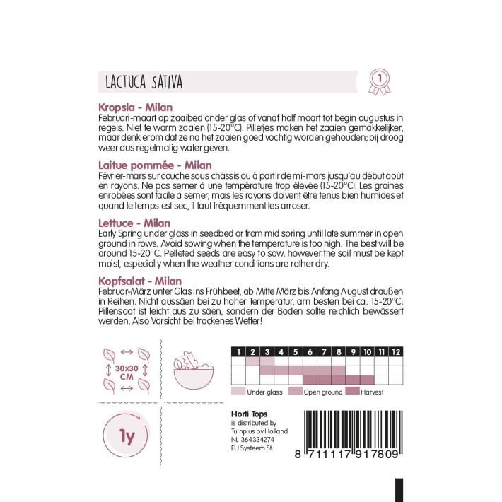 Pilstar Lettuce Pelleted seeds