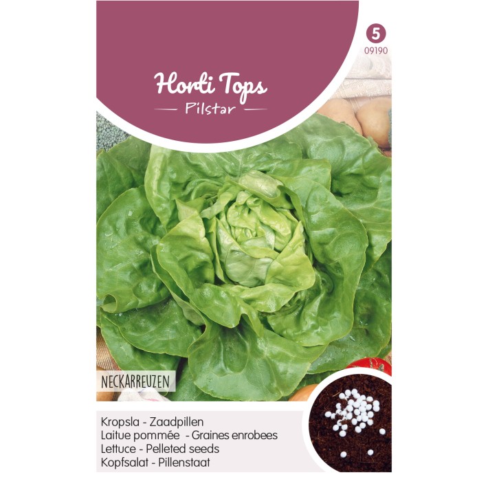 Pilstar Lettuce Neckarriesen
