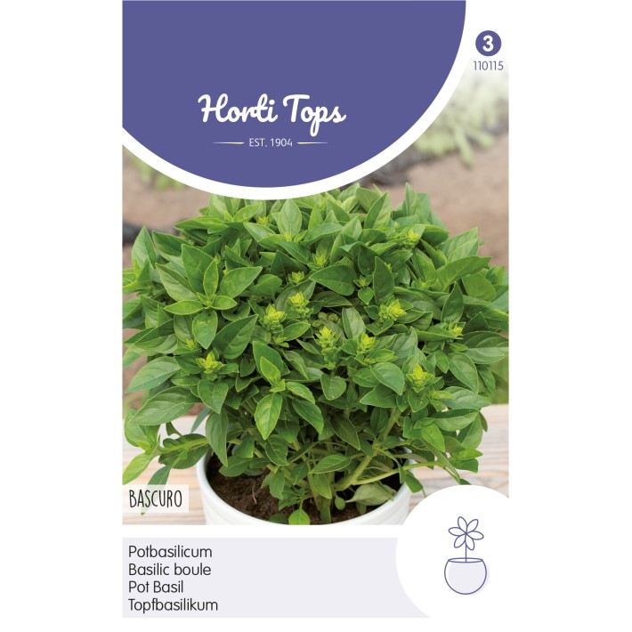 Horti Tops® Basil Ball Type-Bascuro Darkgreen