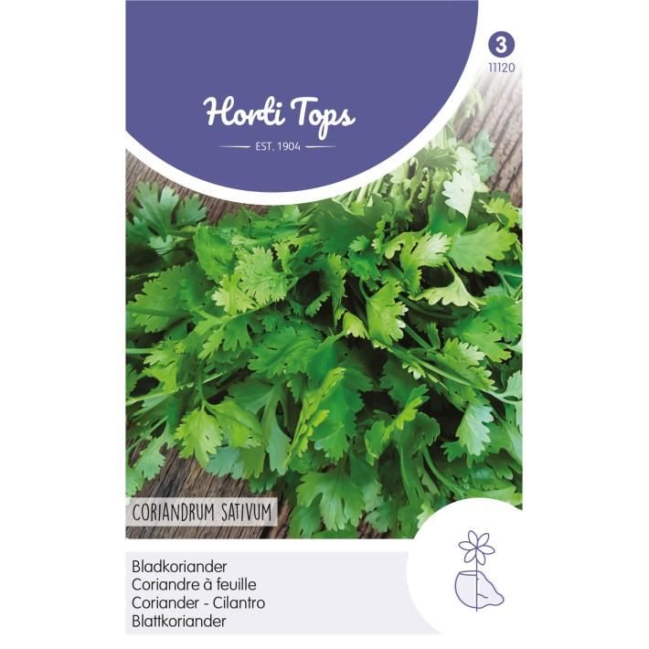 Horti Tops® Coriandre à feuille