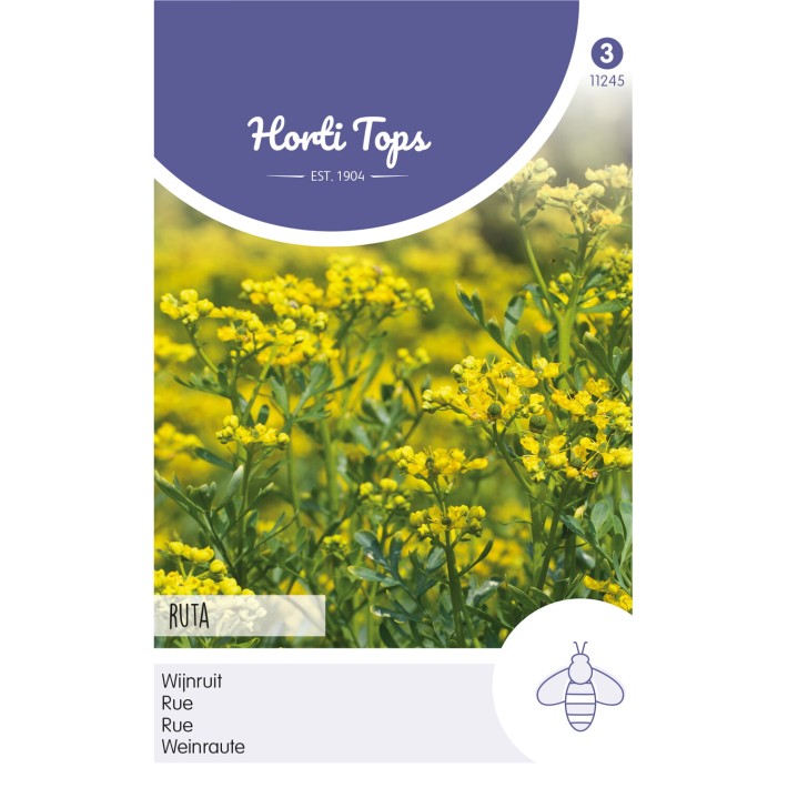 Horti Tops® Rue officinale