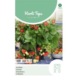 Aardbeien, Ruby Ann F1 , hangaardbei