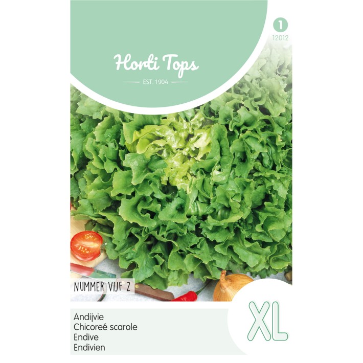 Horti Tops® Chicorée scarole Grosse Bouclée 2