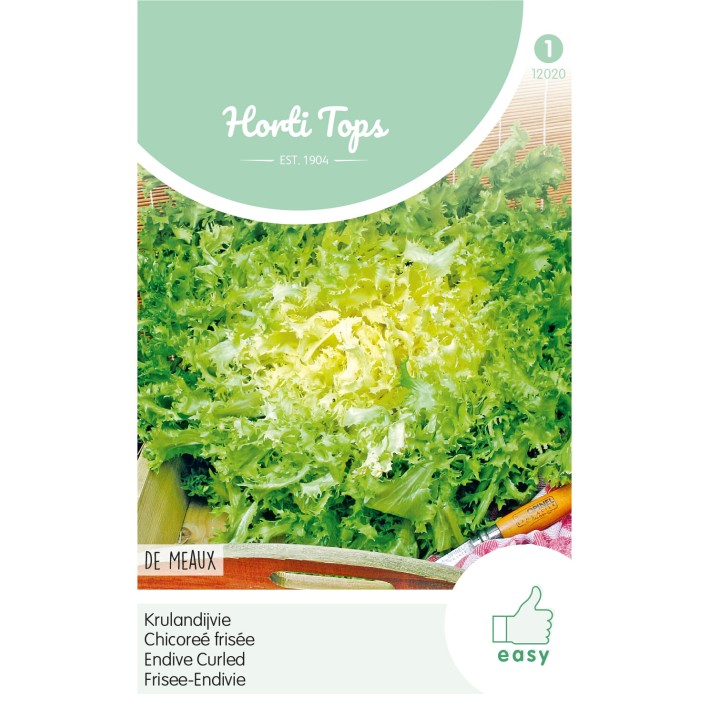 Horti Tops® Chicoreé frisée - de Meaux