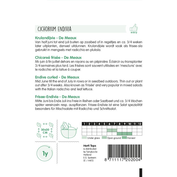 Horti Tops® Chicoreé frisée - de Meaux