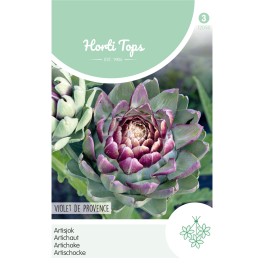Artisjok Violet De Provence