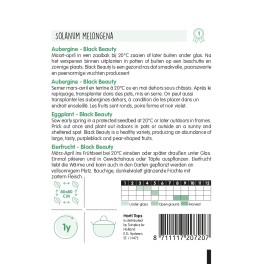 Aubergine Black Beauty