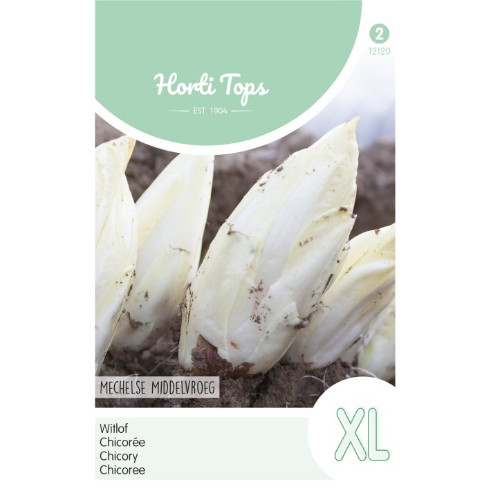 Horti Tops® Chic. de Bruxelles Hâtive de Malines