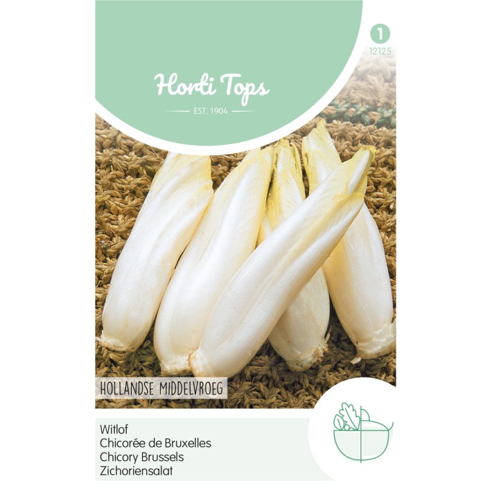 Horti Tops® Chic.Witloof Bruxelles,Holl.Mid.
