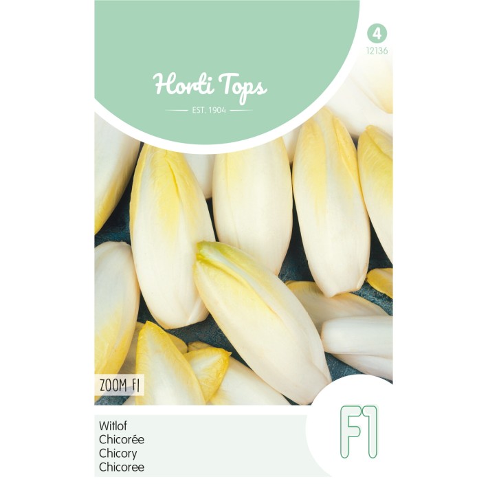 Horti Tops® Chicorée de Bruxelles Zoom F1