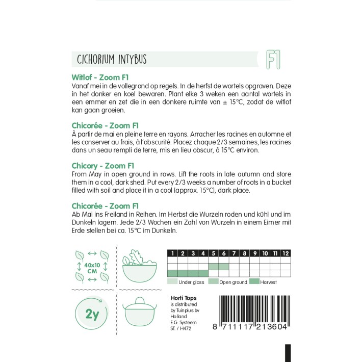 Horti Tops® Chicorée de Bruxelles Zoom F1