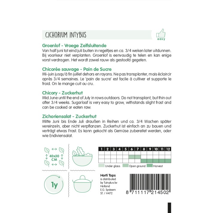 Horti Tops® Chicorée sauvage Pain de Sucre