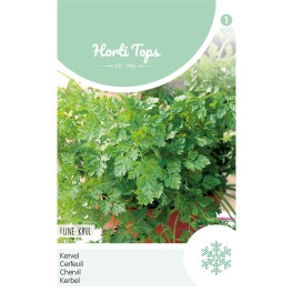 Kervel Fijne Krul