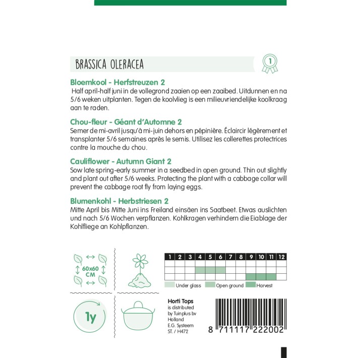 Horti Tops® Cauliflower Autumn Giant 2