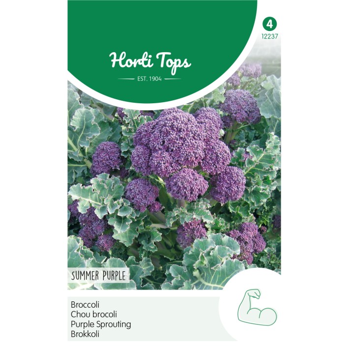 Horti Tops® Chou brocoli Summer Purple
