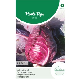 Horti Tops® Chou rouge pointu Kalibos