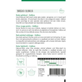 Horti Tops® Chou rouge pointu Kalibos
