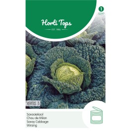 Horti Tops® Chou De Milan Gros Des Vertus 3