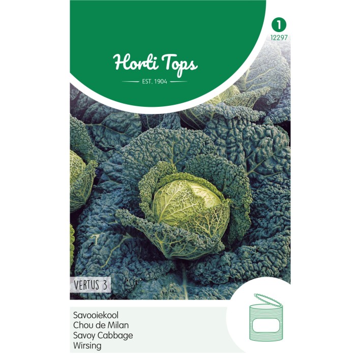 Horti Tops® Chou De Milan Gros Des Vertus 3