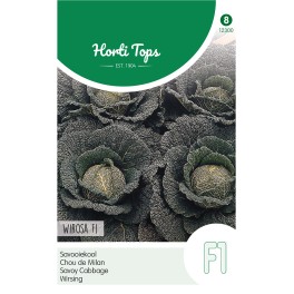 Horti Tops® Chou de Milan Wirosa F1