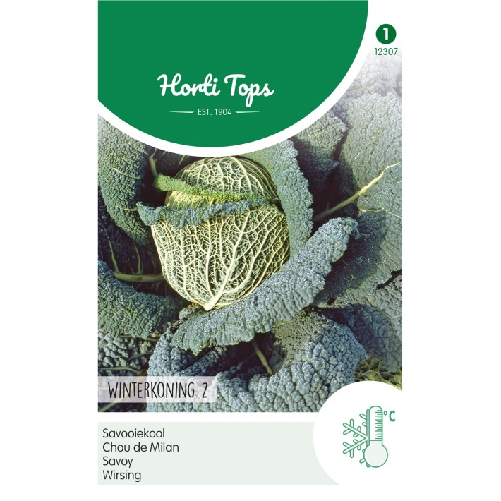 Horti Tops® Chou de Milan Roi de l'Hiver 2