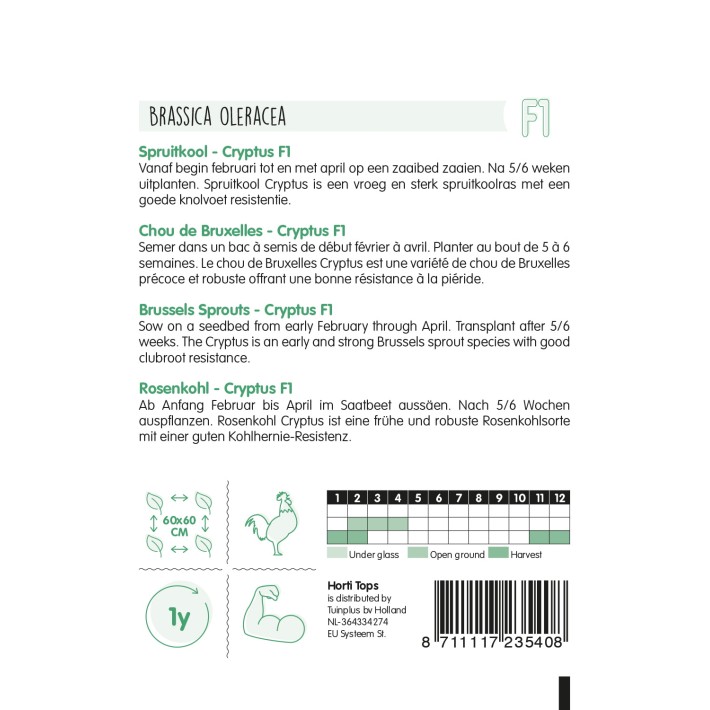 Horti Tops® Spruitkool Crispus F1