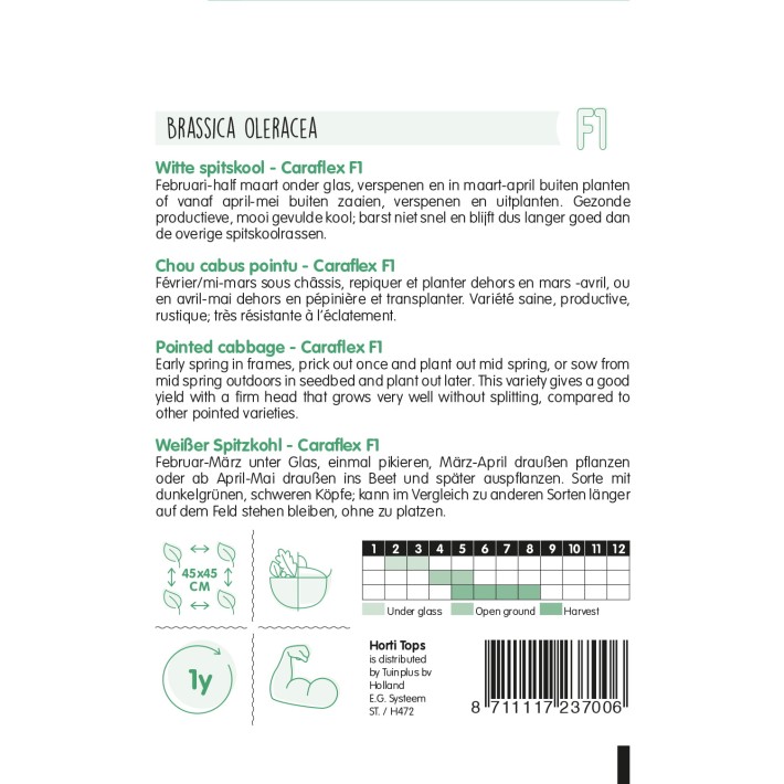 Horti Tops® Cabbage (Pointed) Caraflex F1