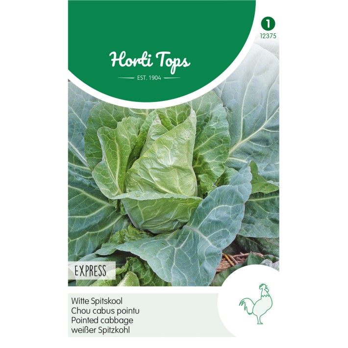 Horti Tops® Chou cabus pointu Express