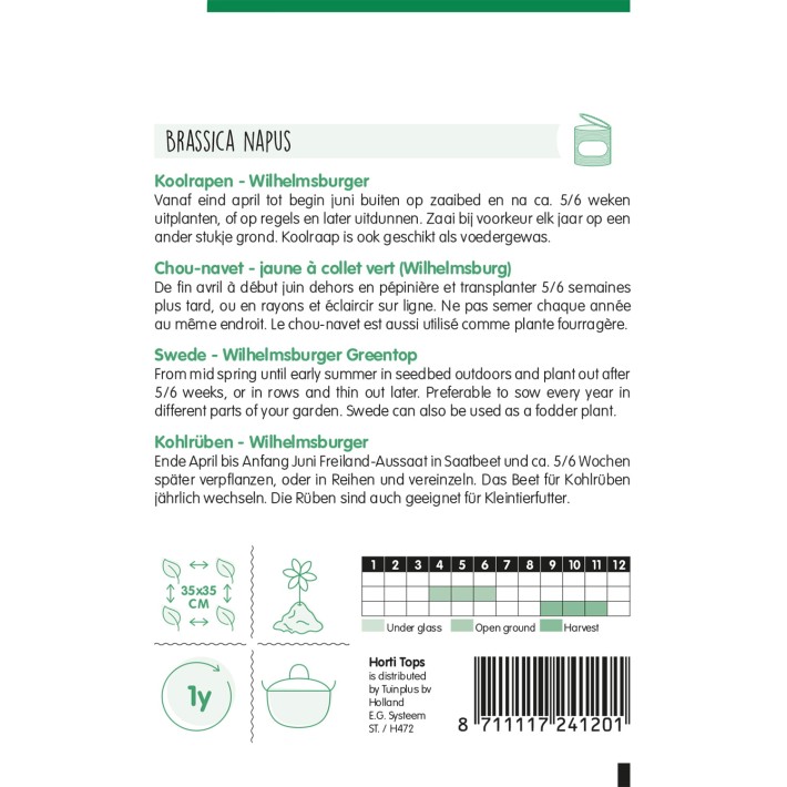Horti Tops® Chou Navet Jaune à collet vert (Wilhelmsburg)