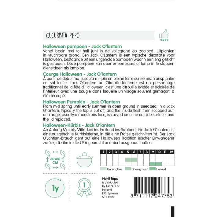 Horti Tops® Pumpkin Jack 'O Lantern (Cucurb. Pepo)
