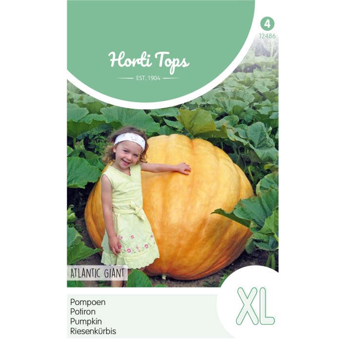 Horti Tops® Pumpkin Atlantic Giant