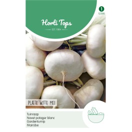 Horti Tops® Gardenturnip Early flat white