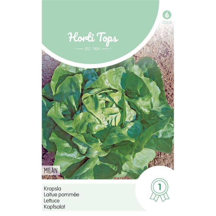 Horti Tops® Laitue Pommee Milan