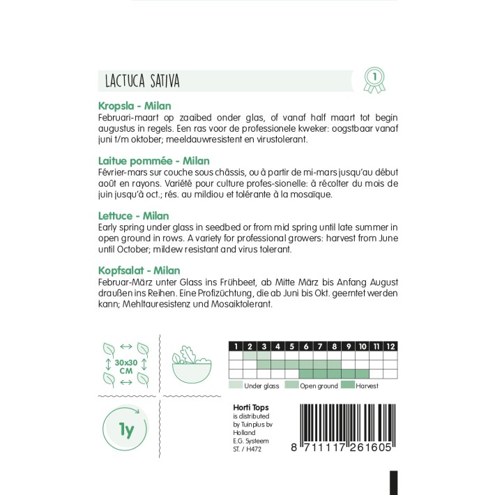 Horti Tops® Laitue Pommee Milan