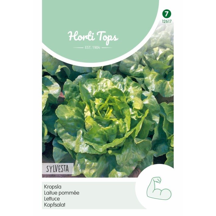 Horti Tops® Laitue pommée Sylvesta