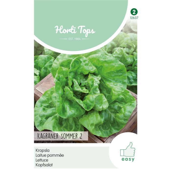 Horti Tops® Laitue Pommee Kagraner D'Ete