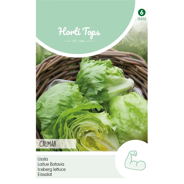 Horti Tops® Laitue Batavia Calmar