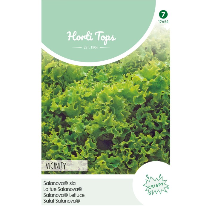 Horti Tops® Laitue Salanova - Vincinity, vert