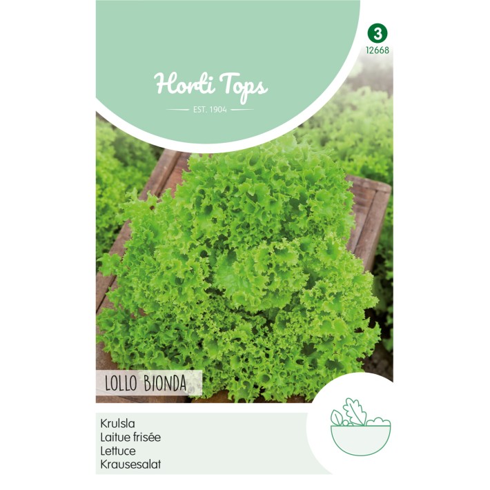 Horti Tops® Laitue Frisée Lollo Bionda