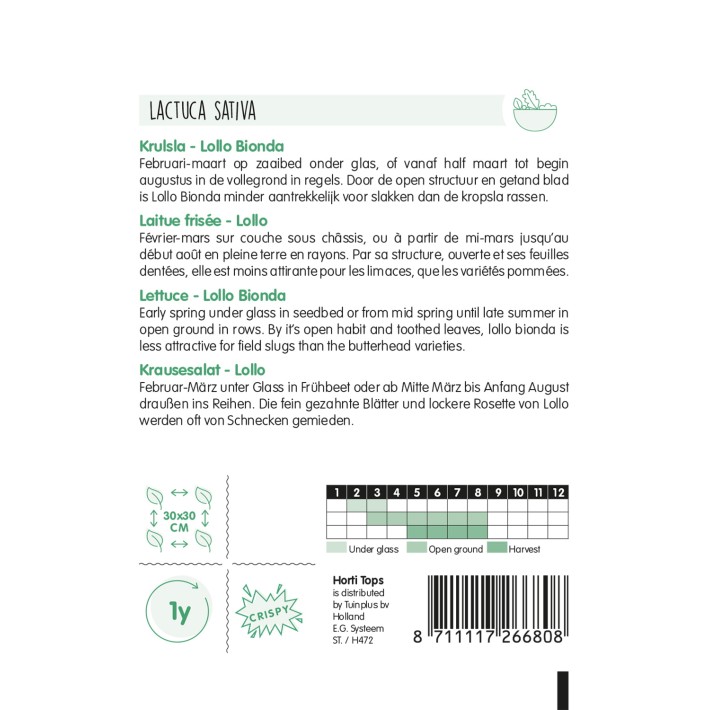 Horti Tops® Laitue Frisée Lollo Bionda