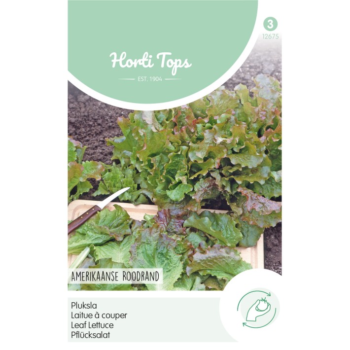 Horti Tops® Laitue à couper Frisée d'Amérique