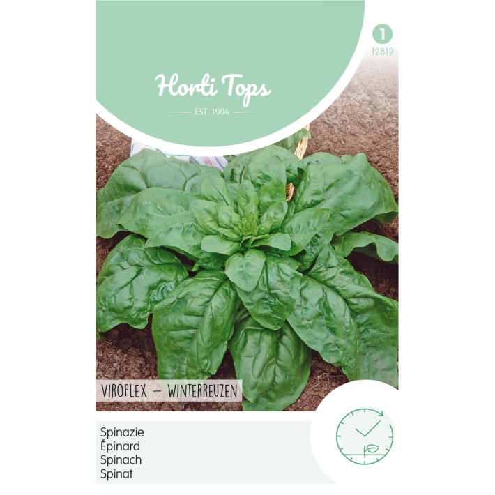 Horti Tops® Epinard Géant d'hiver