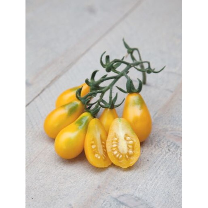 Horti Tops® Tomato Yellow Pearshaped