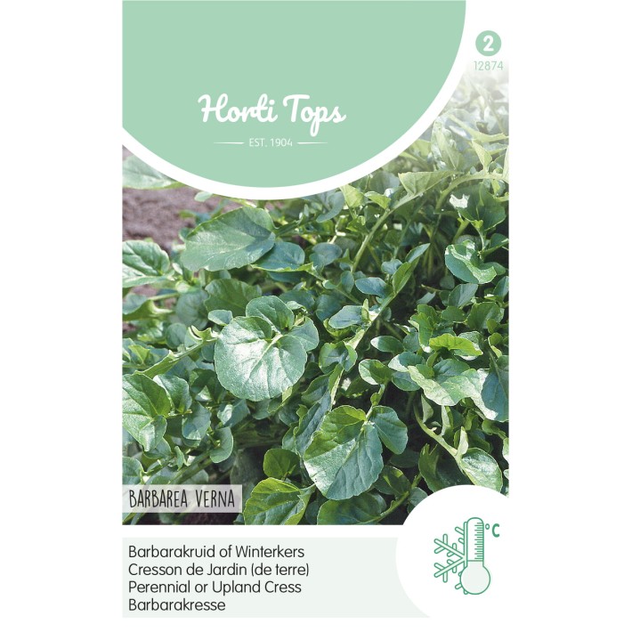 Horti Tops® Cress Perennial - Upland Cress