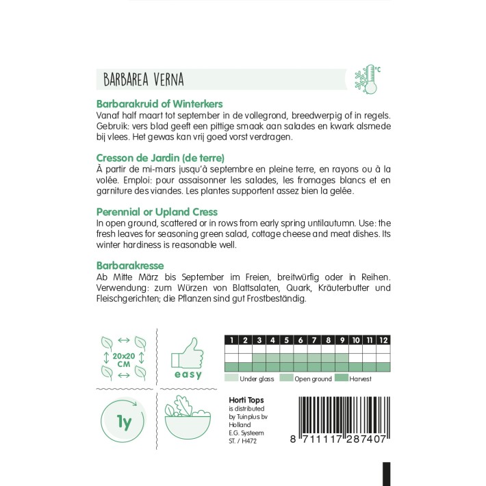 Horti Tops® Cress Perennial - Upland Cress