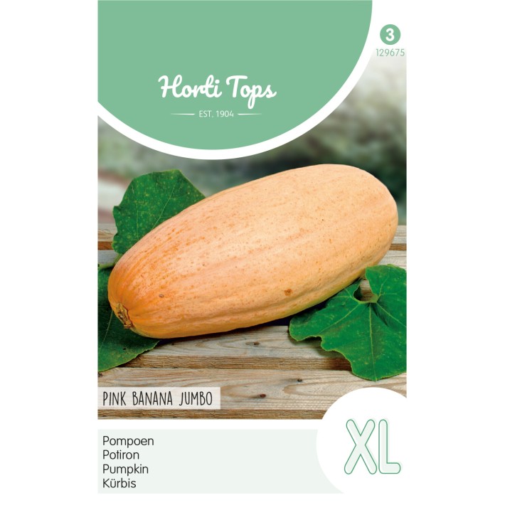 Horti Tops® Pumpkin Pink Banana Jumbo