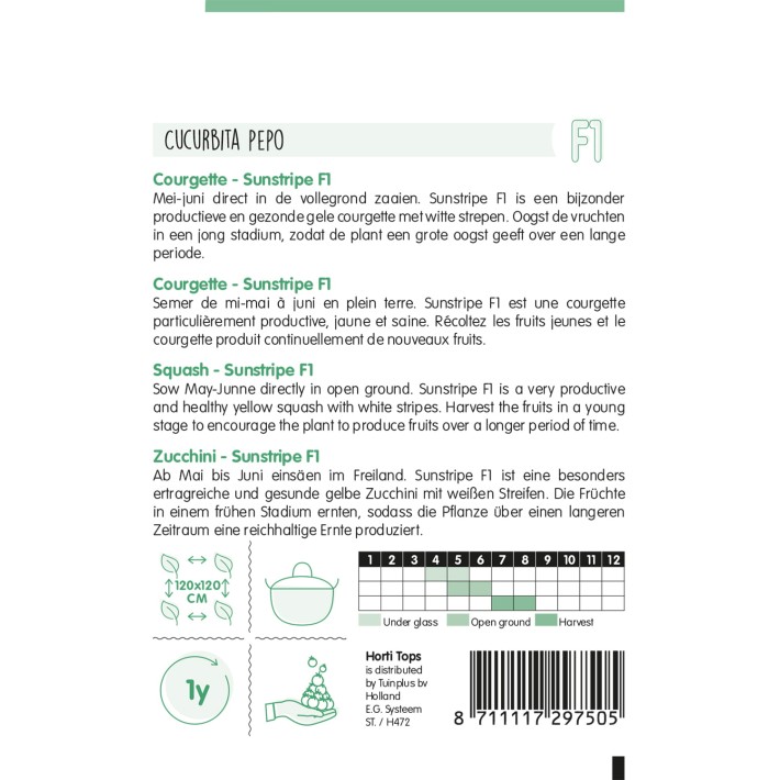 Horti Tops® Courgette Sunstripe F1, jaune