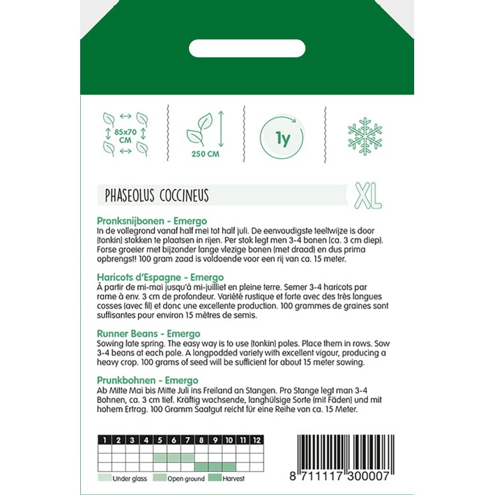 Haricot d'Espagne blanc à longue cosse, 100g