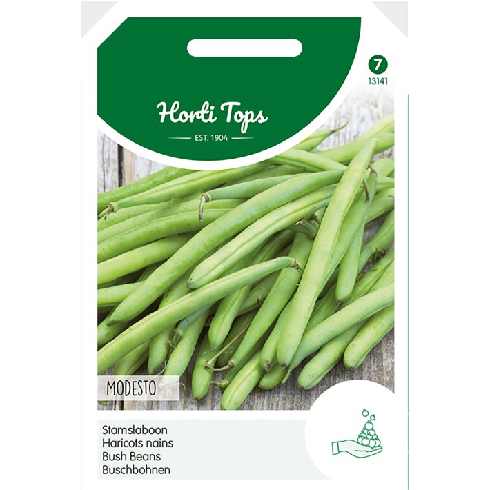 Haricot nain Modesto, 100g