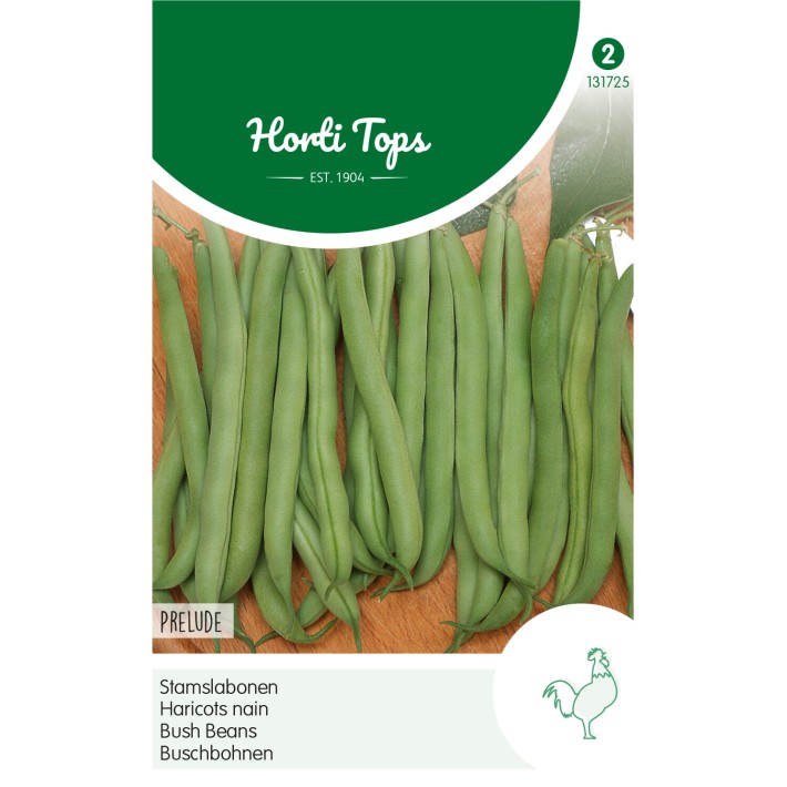 Horti Tops® Busch beans Prelude 25g